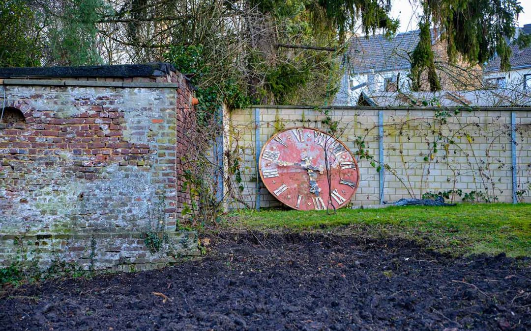 Neuer Bezirksgarten entsteht